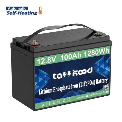TASSKOOD 12V 100Ah Self-Heating Lithium Battery, LiFePO4 Deep Cycle Battery with 100A BMS for Trolling Motor, RV, Solar
